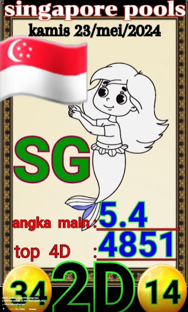 SYAIR SGP VIP